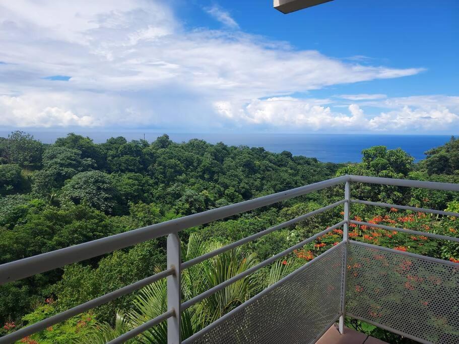 Grand Studio En Bas De Villa Avec Vue Sur Mer Au Carbet Le Carbet Exteriér fotografie